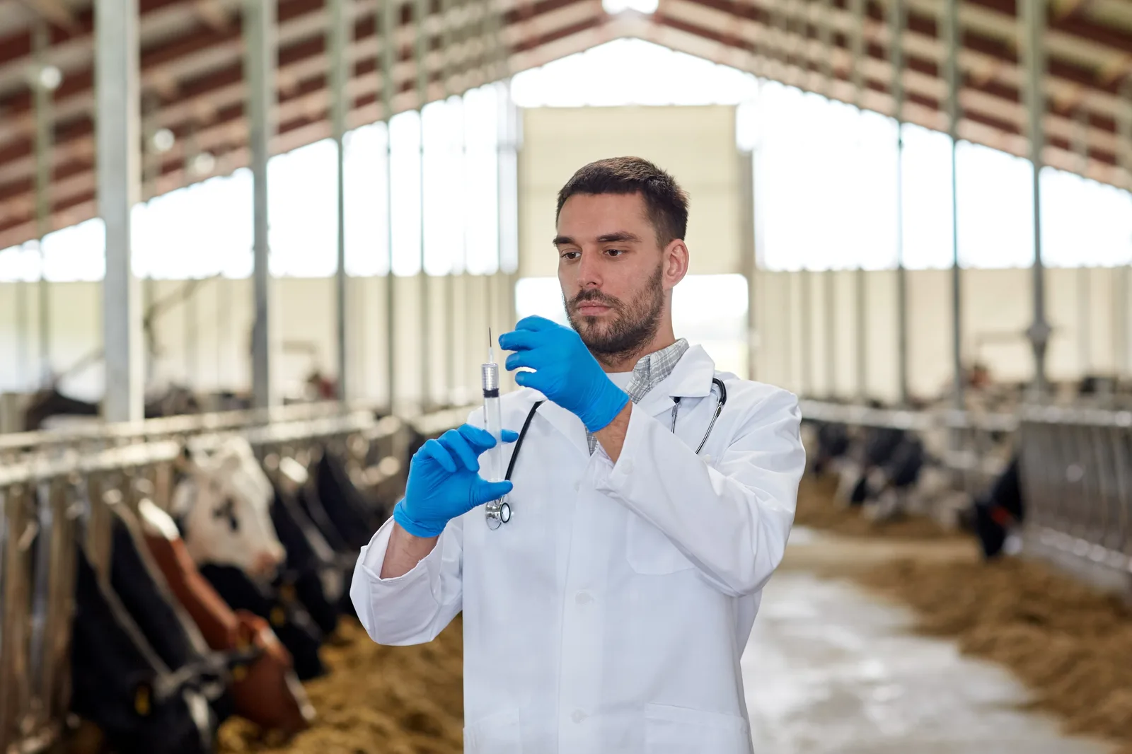 The Meaty Affair | Crowdcow