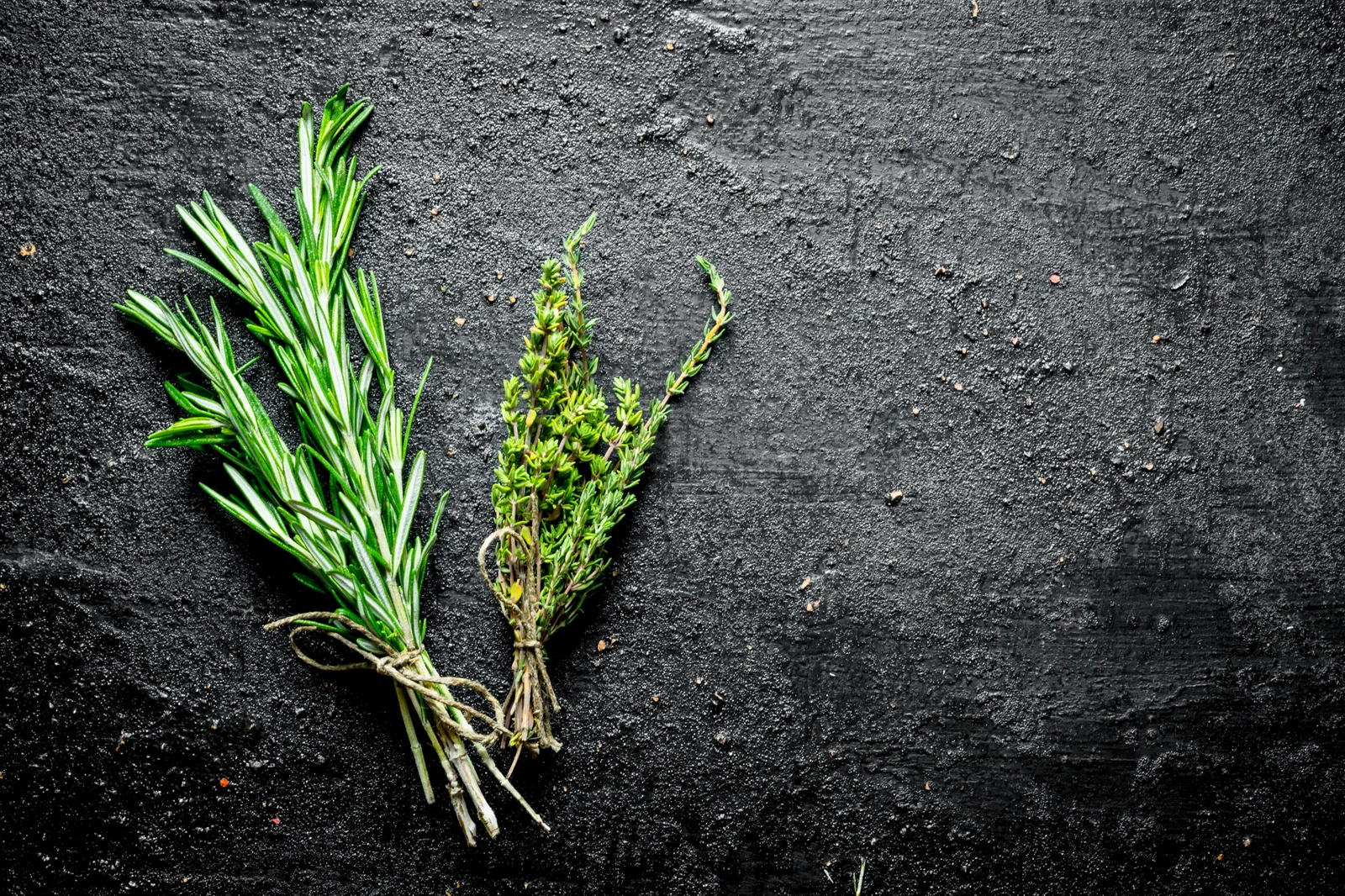 Foods You Need To Have To Boost Up Your Memory