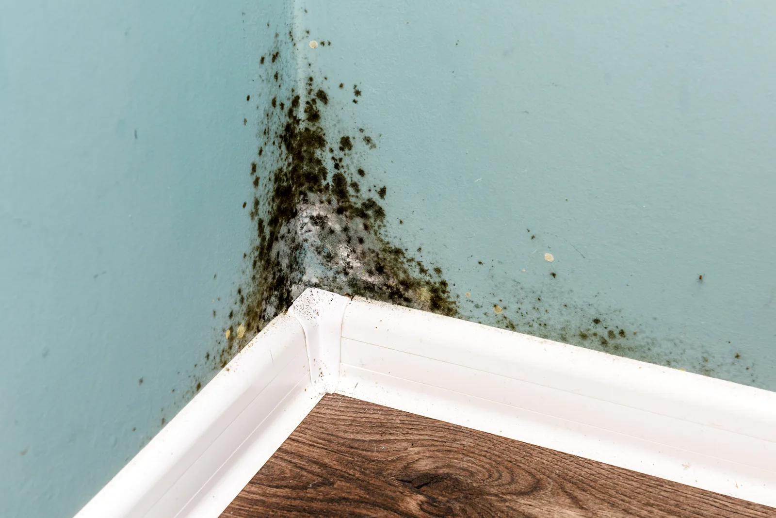 DIY Cleaners: Have A Cleaner House Within A Budget
