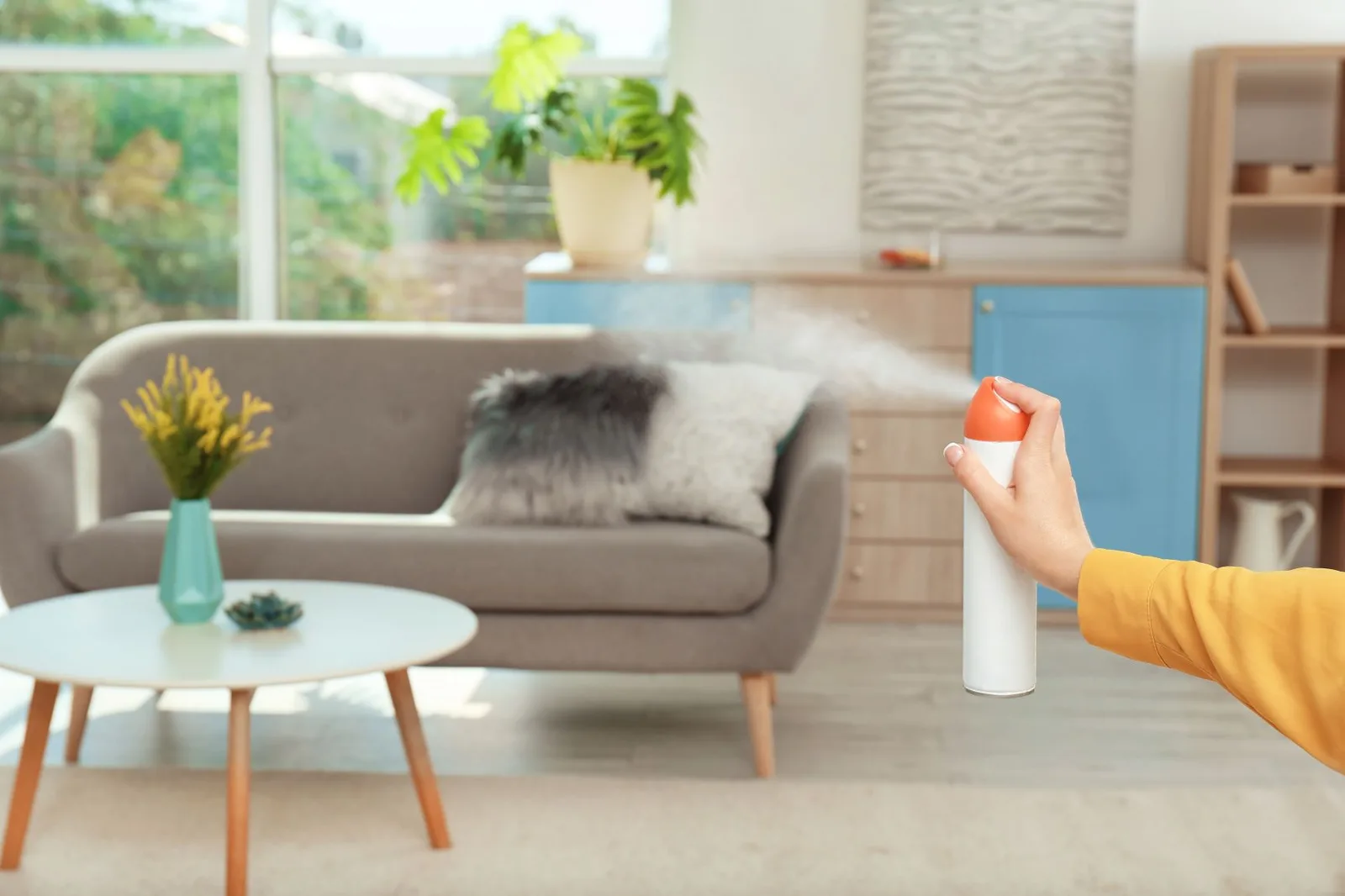 DIY Cleaners: Have A Cleaner House Within A Budget