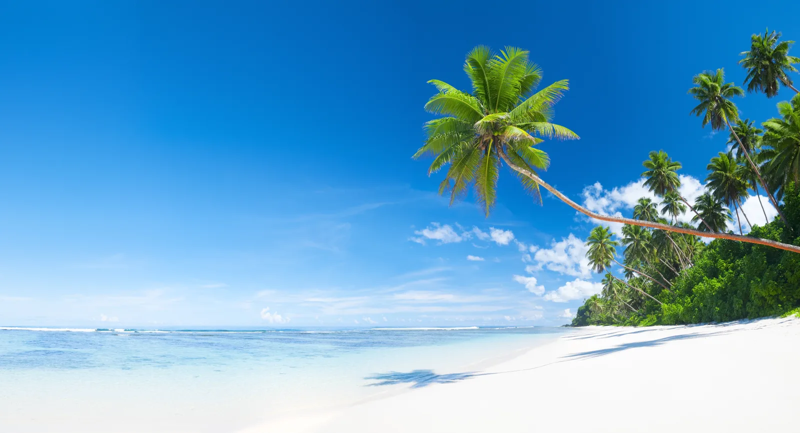 Beaches To Visit When You Are Planning To Ditch The Cold Climate