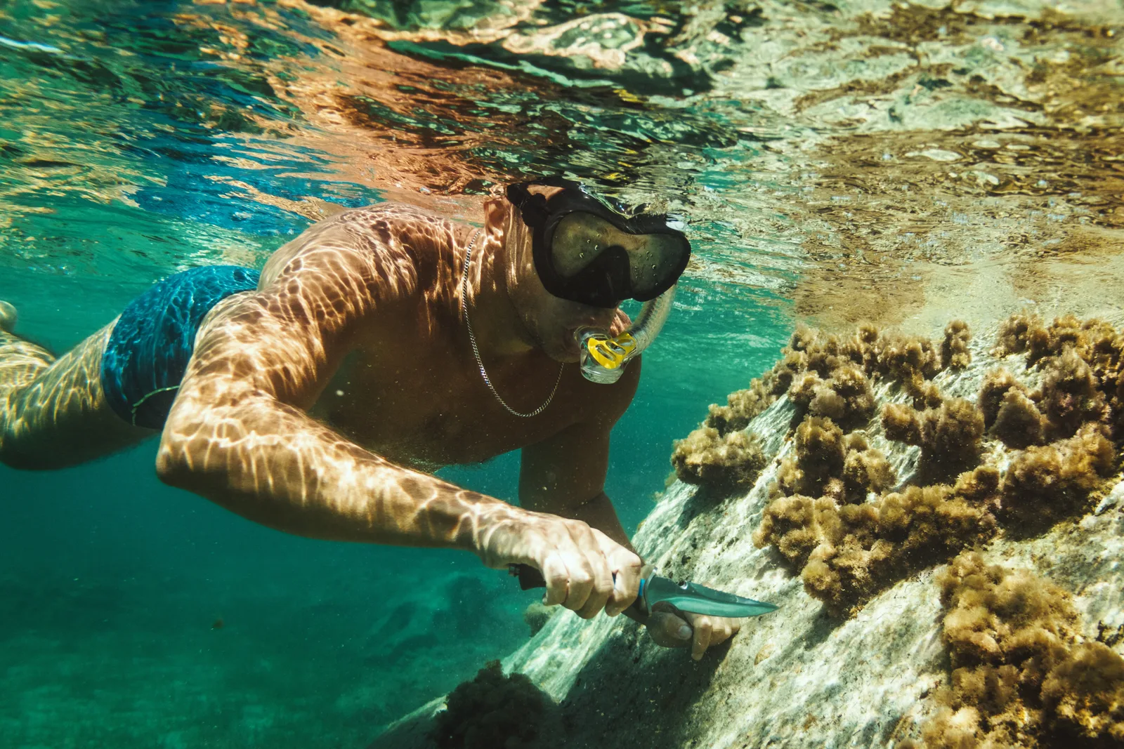 Beaches To Visit When You Are Planning To Ditch The Cold Climate