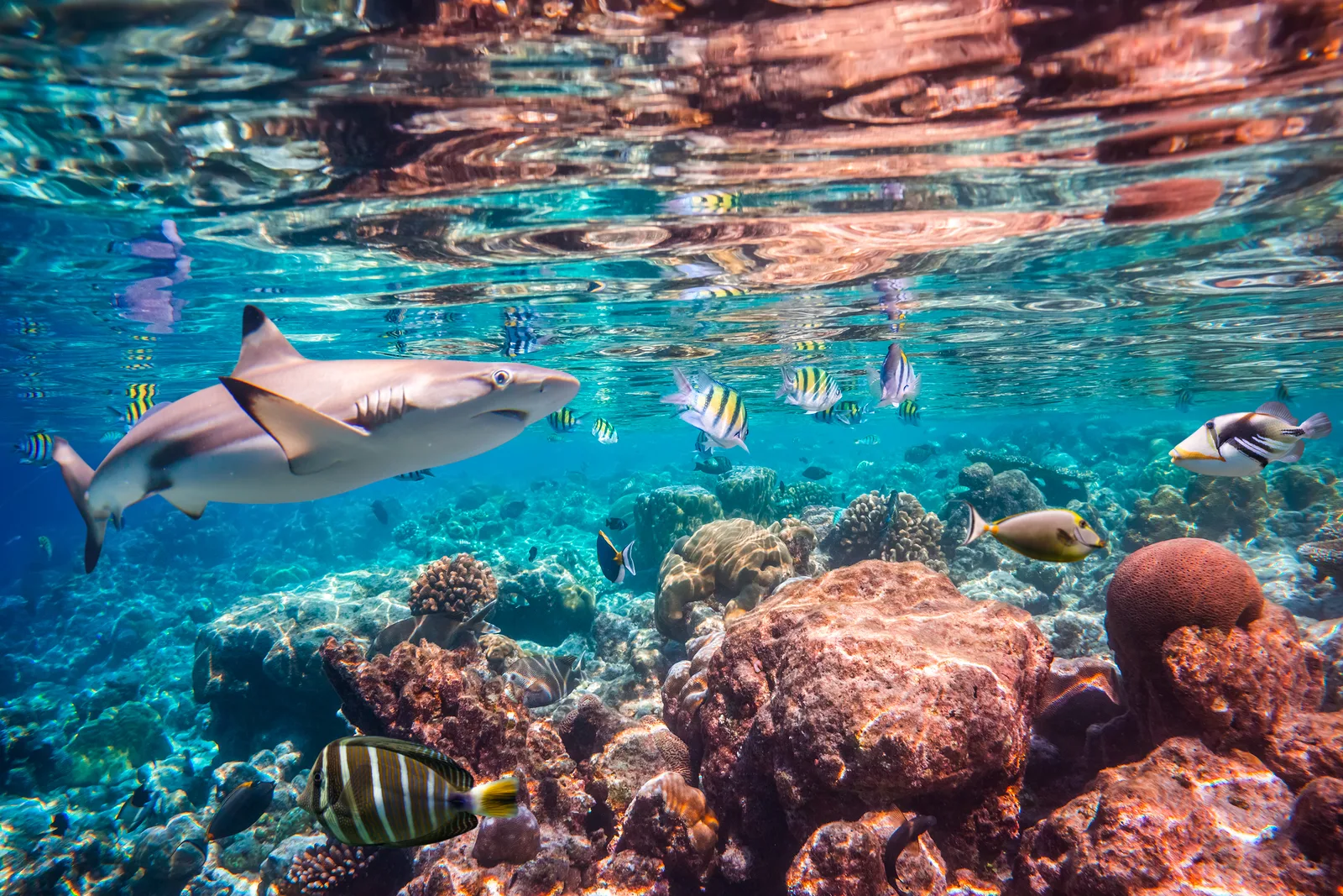 Beaches To Visit When You Are Planning To Ditch The Cold Climate